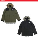 【ポイント5倍以上】ザ・ノース フェイス THE NORTH FACE Men’s Mcmurdo Parka マクマード パーカ ダウンジャケット アウター 男性 メンズ [CC] 2