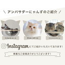 キャットタワー 【天然木使用】キャットタワースタジアム 大型猫 スリム 省スペース 据え置き 猫タワー 猫 猫用品 爪とぎ 多頭飼い 落下防止柵 クリアボウルハンモック クリアボウル ハンモック付 木製 2