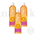 i[bN GNXtHG[eBO oX{fBXNu IW 3{ ܂Ƃߔ ynaarakz EXFOLIATING BATH BODY SCRUB@ORANGE