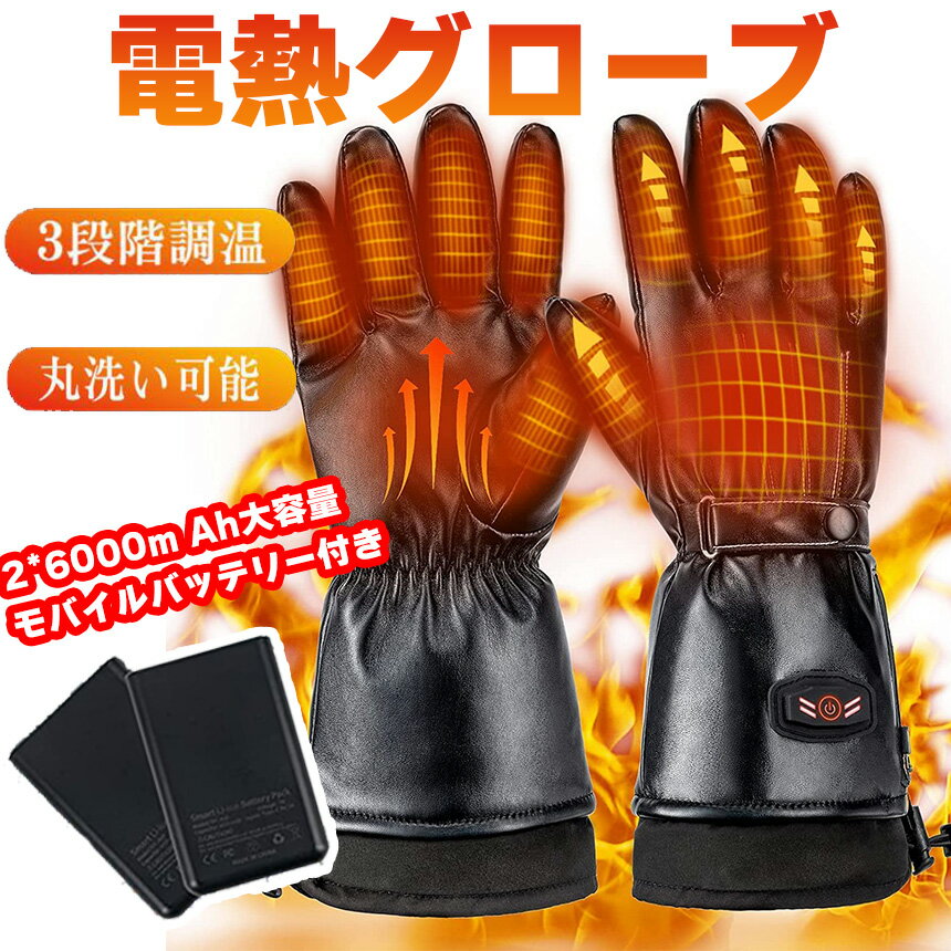 電熱グローブ 皮質 防寒 防水 ヒーター手袋 6000mAh大容量バッテリー付属 usb充電式 手袋 タッチパネル 45-65℃ 3段階温度調節 バイク、スキー、登山