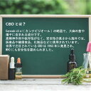 CBD ワックス スターターセット 電子タバコ 高濃度 90% 日本製 VAPE カートリッジ リキッド セット ニコチン0 安心 安全 ストレス 不眠 安眠 睡眠改善 ヘンプ 植物由来 カンナビノイド 持ち運び リラックス リフレッシュ 単品 スターターキット WAX 2