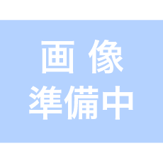 1P23ܡ KAWASAKI(掠)åȥСULTRA 310LX(2022-)/310LX-S(2022-)
