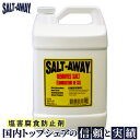 【10日最大P32.5倍】 SALT-AWAY (ソルトアウェイ) 原液 3784ml　塩害 腐食 防止剤 錆び止め メンテナンス