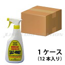 【25日ポイント+5倍】 塩害腐食防止剤 ソルトアウェイ SALT-AWAY スプレー タイプ 472ml 1ケース (12本) 塩害 腐食 防止剤 錆防止 錆び止め メンテナンス
