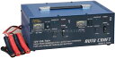 【エントリーでP5倍】 バッテリーチャージャーP12100T