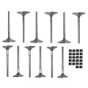 【エントリーでP5倍】 RIVA(リーヴァ)VALVE SET STANDARD ULTRA300/310