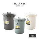 ダストボックス 45L ゴミ箱 ごみばこ トラッシュカン ごみ箱 グリーン ナチュラル 分別 おしゃれ 東屋 AZUMAYA 北欧 送料無料 neore / ラウンドペール 45L