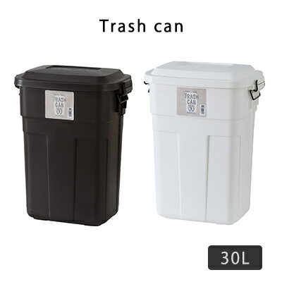 乐天商城 - 【最大1000円OFFクーポン配布中】ダストボックス 30L ゴミ箱 ごみばこ トラッシュカン ごみ箱 ナチュラル 分別 おしゃれ 東屋 AZUMAYA 北欧 送料無料 neore / トラッシュカン 30L