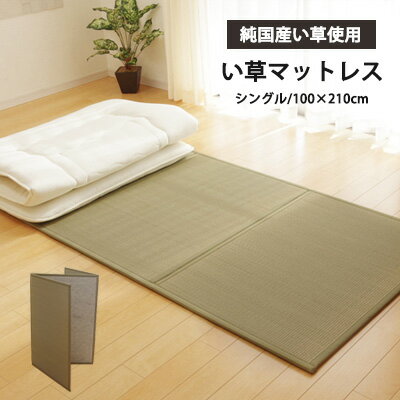 【最大1000円OFFクーポン配布中】い草マットレス シングル 畳 ユニット畳 マットレス 寝具 軽量 国産 日本製 い草 イ草 抗菌 防臭 防音 ムレ防止 夏 快適 布団敷き neore / い草マットレス シングル(100×210cm)