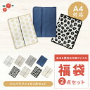 福袋 2点セット ファイル ジャバラ A4 書類ケース 持ち運び 書類整理