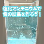 実験くん No.204 塩化アンモニウムの雪の結晶実験キット　すぐに実験できるフルセット 美しく天空を舞う雪の結晶 レシピ 動画アップ STEM教育 /　誕生日やクリスマスプレゼント、入学進学祝いなどに。夏休みの自由研究にもオススメ。