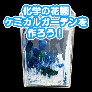 実験くんNo.89　ケミカルガーデンキット STEM 化学反応で庭園のオブジェをつくる 化学を遊ぶ　/　誕生日やクリスマスプレゼント、入学進学祝いなどに。夏休みの自由研究にもオススメ。