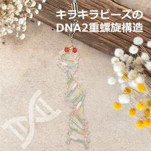 わくわくサイエンスLabo DNAストラップ 2重螺旋構造 <送料込み> ビーズで作って楽しく学ぼう!解説動画あり!