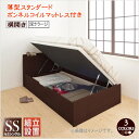 組立設置 通気性抜群 棚コンセント付 跳ね上げベッド Prostor プロストル 薄型スタンダードボンネルコイルマットレス付き 横開き セミシングル 深さラージ 家具 収納ベッド 天然木 すのこ仕様 ホコリを防ぎ 圧倒的収納力 省スペース ベッド 敷布団利用もOK
