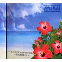 ハイビスカスマイル DAY(切実) 〜即完音源集+1〜[CD] / シリアル⇔NUMBER