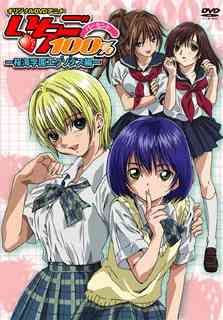いちご100% TV版+OVA コンプリート DVDボックス 輸入版 いちご100% TV版+OVA コンプリート DVDボックス 輸入版