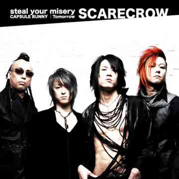 steal your misery -special edition[CD] / SCARECROW