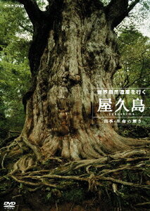 世界自然遺産 屋久島 ～四季・生命の輝き～[DVD] / ドキュメンタリー