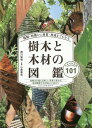 種類 特徴から材質 用途までわかる樹木と木材の図鑑 日本の有用種101 本/雑誌 / 西川栄明/著 小泉章夫/監修