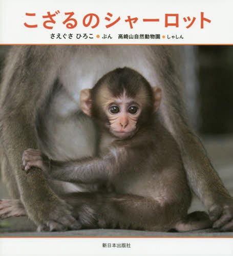 こざるのシャーロット[本/雑誌] / さえぐさひろこ/ぶん 高崎山自然動物園/しゃしん