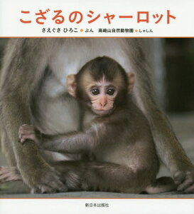 こざるのシャーロット[本/雑誌] / さえぐさひろこ/ぶん 高崎山自然動物園/しゃしん