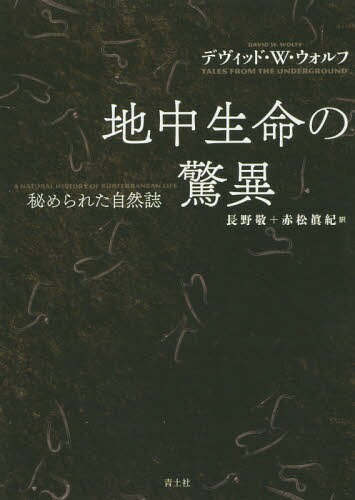 ̿ζð 줿  / ȥ:TALES FROM THE UNDERGROUND[/] / ǥåɡ...