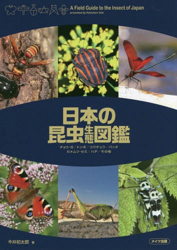 日本の昆虫生態図鑑 チョウ・ガ/トンボ/コウチュウ/バッタ カメムシ・セミ/ハチ/その他[本/雑誌] / 今井初太郎/著