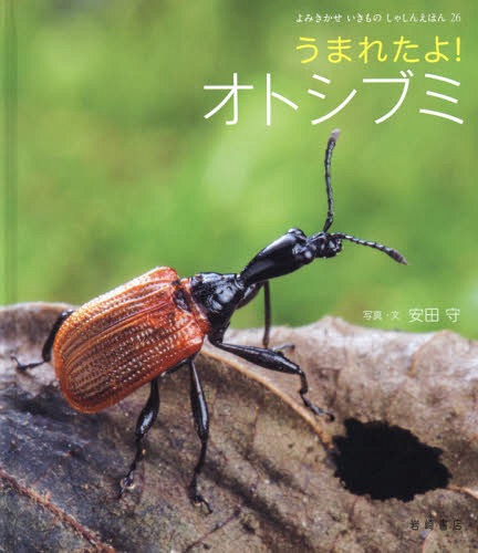 うまれたよ!オトシブミ[本/雑誌] (よみきかせいきものしゃしんえほん) / 安田守/写真・文