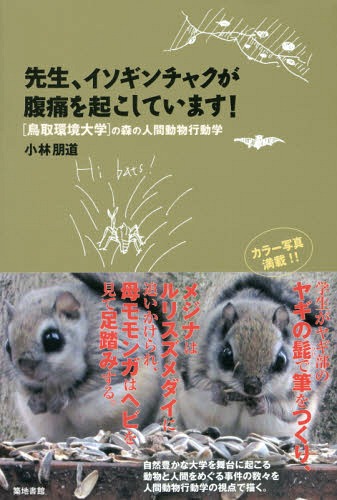 先生、イソギンチャクが腹痛を起こしています![本/雑誌] (鳥取環境大学の森の人間動物行動学) / 小林朋道/著のサムネイル
