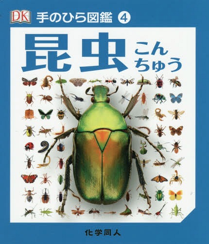 昆虫 / 原タイトル:Pocket Eyewitness INSECTS[本/雑誌] (手のひら図鑑) / リチャード・ジョーンズ/監修 伊藤伸子/訳