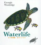 水のいきもの / 原タイトル:Waterlife[本/雑誌] (ぬり絵図鑑) / ジョージー・ウールリッジ/著 足立朋也/訳 梅原進吾/訳 後藤護/訳