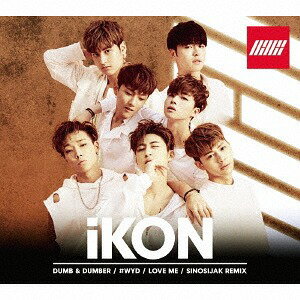DUMB & DUMBER[CD] / iKON