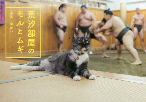 荒汐部屋のモルとムギ[本/雑誌] / ゆかい/写真