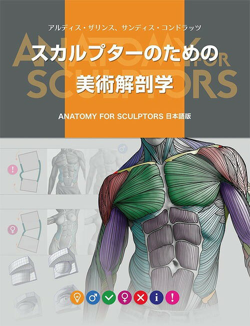 ץΤѲ˶[/] (ȥ:ANATOMY FOR SCULPTORS) (ñܡå) / ǥ/ ǥɥå/ Bץ饦/