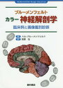 ブルーメンフェルト カラー神経解剖学 臨床例と画像鑑別診断 / 原タイトル:NEUROANATOMY through Clinical Cases 原著第2版の翻訳 / ハル・ブルーメンフェルト/著 安原治/訳