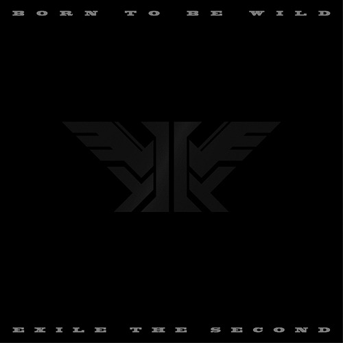 BORN TO BE WILD[CD] [CD+3DVD/豪華盤] / EXILE THE SECOND