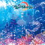 ޥޡᥤ[CD] [typeA (ߥtype)] / ե