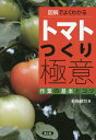 ご注文前に必ずご確認ください＜商品説明＞言葉を発しないトマトの声に耳を傾けると、トマトの法則性が見えてきた。トマトつくり70年の著者がつかんだ絶対不変の極意とは—3段開花までのガマンどころ、収穫開始までの勝負どころ、収穫開始後のスタミナ維持どころを押さえること。＜収録内容＞第1章 栽培を始めるにあたって編第2章 育苗編第3章 圃場の準備と施肥編第4章 定植から収穫まで編第5章 病害虫・障害対策編第6章 品種編＜商品詳細＞商品番号：NEOBK-2060270Wakaume Kenji / Cho / Illustrated De Yoku Wakaru Tomato Tsukuri Gokui Sagyo No Kihon to Kotsuメディア：本/雑誌重量：340g発売日：2017/02JAN：9784540161537図解でよくわかるトマトつくり極意 作業の基本とコツ[本/雑誌] / 若梅健司/著2017/02発売