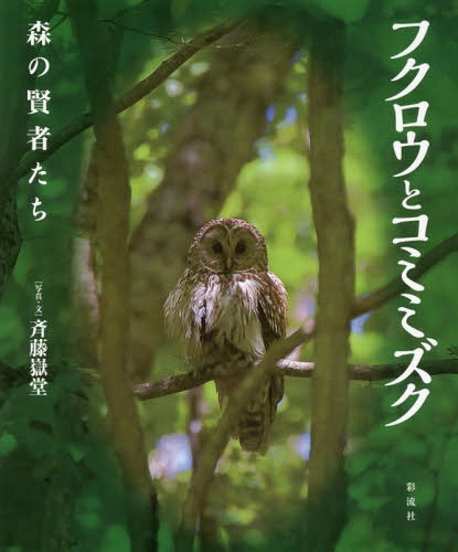 フクロウとコミミズク 森の賢者たち 本/雑誌 / 斉藤嶽堂/写真 文