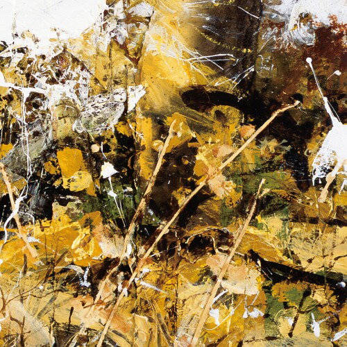 ご注文前に必ずご確認ください＜商品説明＞ブルックリンの歌姫ジュリアナ・バーウィックのツアーサポートでも絶賛された、ジョエル・パイクのソロ・ユニットTiny Leavesの最新作が登場です。2015年には、Radiohead人脈としても知られるエミー賞作曲家ダスティン・オハロラン擁するA Winged Victory For The Sullenのサポートアクトも経験する等、ここ数年音楽的に充実した活動を続けてきたTiny Leavesが、1年以上の年月をかけ制作。今作のインスピレーションの源であるウェールズ語のCynefinという表現—慣れ親しんだ環境という意味を持ちます—をキーワードに、丹念作り上げた1枚です。本作のプロジェクトはイングランド中部の農村、シュプロッシャーにてジョエルが得た着想からスタート。地域の出身のミュージシャンたちと共に完成させました。ポストロックやクラシック等様々なジャンルの楽曲から受けたインスピレーションを元に、収録曲数4曲・トータル40分超というアルバム構成に挑戦。ジャズやフォークの素養もあるバイオリニストと仕事したことも、今作のサウンド・メイキングに影響を与えています。収録楽曲の”Cynefin”(M4)は、ジュリアナ・バーウィックのUKツアーの前座でも演奏された名曲。ロンドンの新進気鋭のダンサー/振付師Rachel Burnによる振付が印象的なMVも、今作の世界観を充分に表現しており、要注目です。尚、このツアーでのTiny Leavesのステージは、英国のライヴレビューサイト「The Skinny」にて「彼のピアノは贅沢な空間を思わせる。繊細でドラマティックな音楽性は映画『プライドと偏見』や『ダウントン・アビー』のようでもある。BBCはすぐにオファーすべき」と称賛され、見事5つ星を獲得しました。英国屈指のポスト・クラシカル・アーティストに相応しい仕上がりの本作を、ぜひお見逃しなく。＜収録内容＞Broad PlacesIf We PlayFound SongCynefin＜商品詳細＞商品番号：DAKSVTPG-2Tiny Leaves / Notes On Belongingメディア：CD発売日：2017/03/15JAN：4522197125442Notes On Belonging[CD] / Tiny Leaves2017/03/15発売