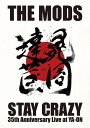 STAY CRAZY DVD / THE MODS