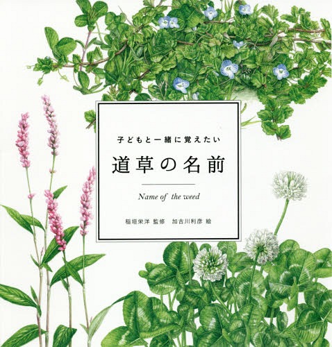 [書籍のゆうメール同梱は2冊まで]/子どもと一緒に覚えたい道草の名前[本/雑誌] (momo) / 稲垣栄洋/監修 加古川利彦/絵