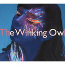 Into Another World CD / The Winking Owl