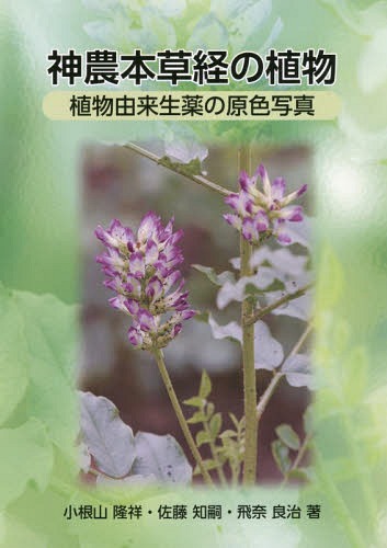 神農本草経の植物-植物由来生薬の原色写真[本/雑誌] / 小根山隆祥/著 佐藤知嗣/著 飛奈良治/著