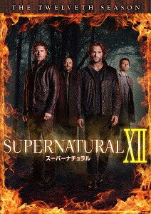 SUPERNATURAL XII ＜トゥエルブ・シーズン＞[DVD] DVD コンプリート・ボックス / TVドラマ