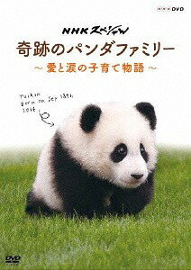 NHKスペシャル 奇跡のパンダファミリー 〜愛と涙の子育て物語〜[DVD] / ドキュメンタリー