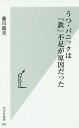 うつ・パニックは「鉄」不足が原因だった (光文社新書) / 藤川徳美/著