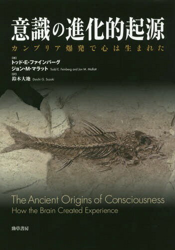 意識の進化的起源 カンブリア爆発で心は生まれた / 原タイトル:THE ANCIENT ORIGINS OF CONSCIOUSNESS[本/雑誌] / トッド・E・ファインバーグ/著 ジョン・M・マラット/著 鈴木大地/訳