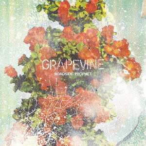 ROADSIDE PROPHET CD 通常盤 / GRAPEVINE