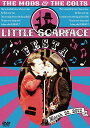 LITTLE SCARFACE FESTA[DVD] / THE MODS、THE COLTS